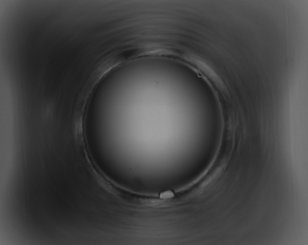 X0000100401281200806061308