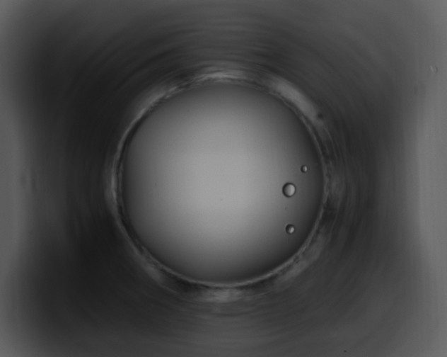 X0000100401282200806061308