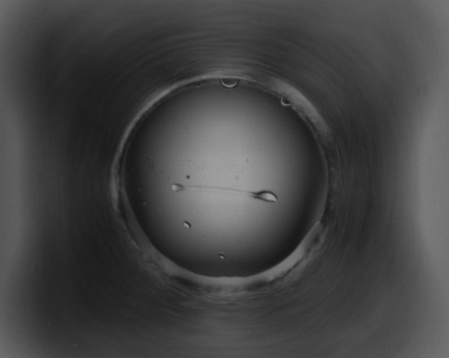 X0000100401284200806061308