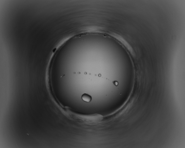 X0000100401285200806061308
