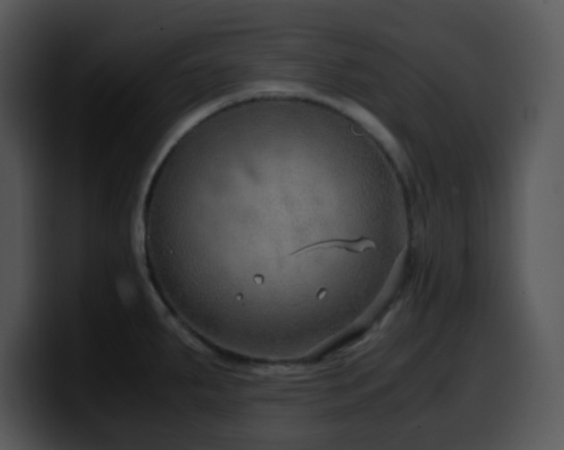 X0000100401287200806061308