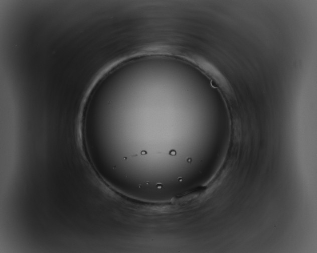 X0000100401288200806061308