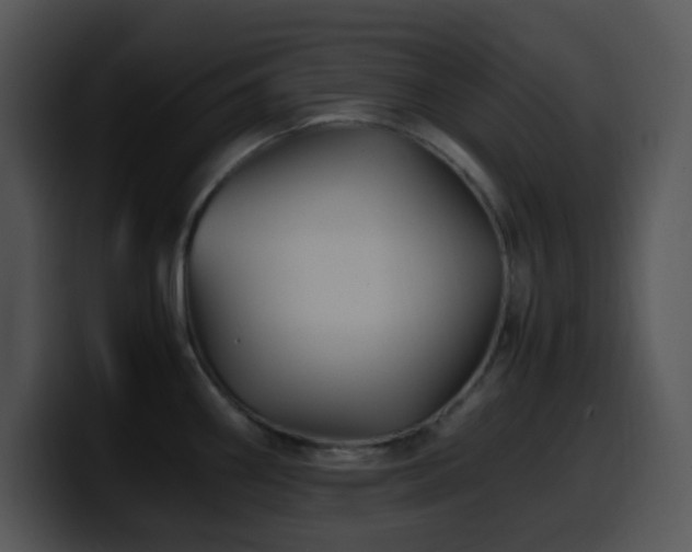X0000100401290200806061308