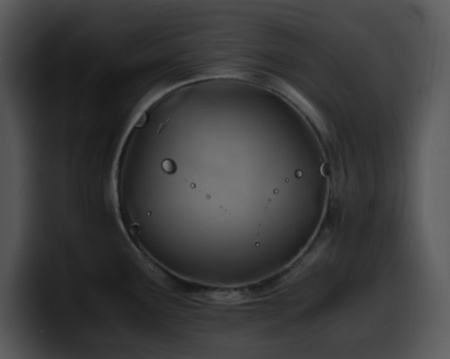 X0000100401291200806061308