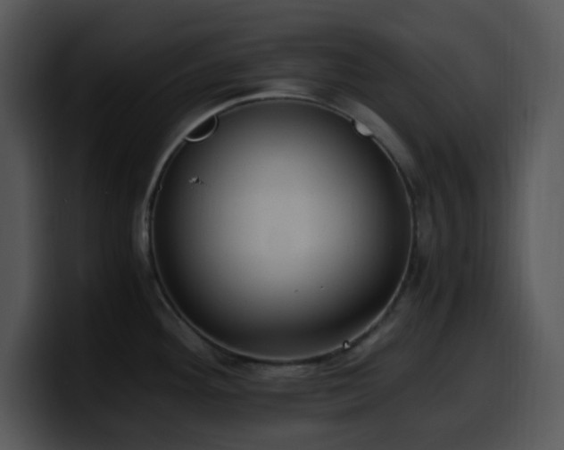 X0000100401292200806061308
