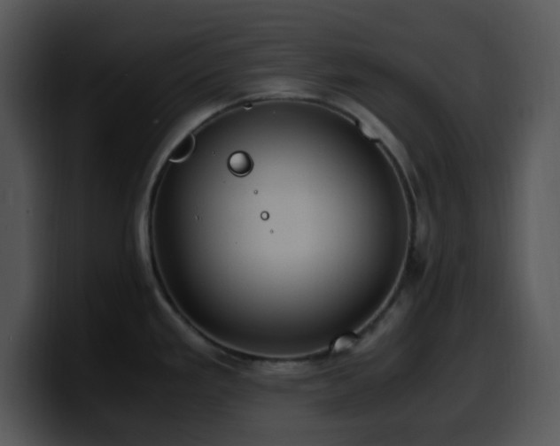 X0000100401293200806061308