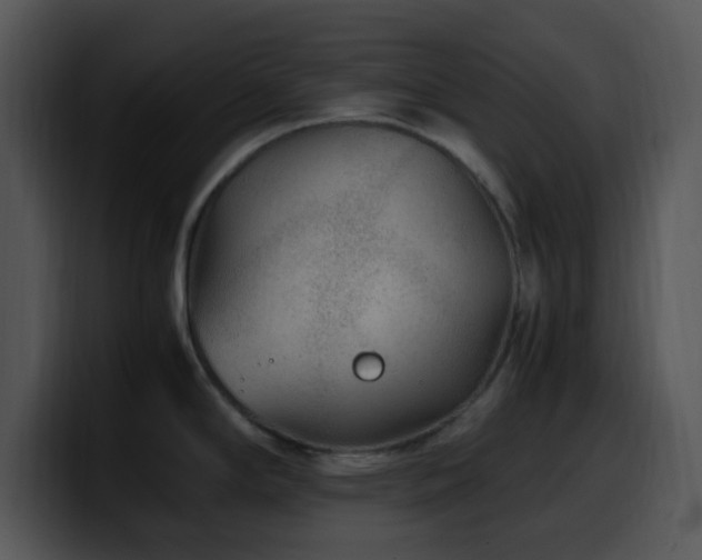X0000100401294200806061308