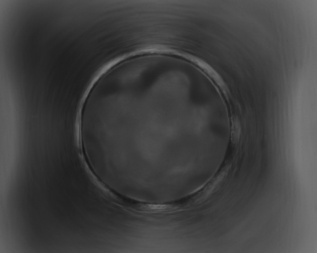 X0000100401295200806061308