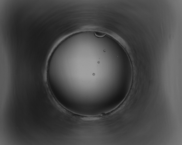 X0000100401296200806061308