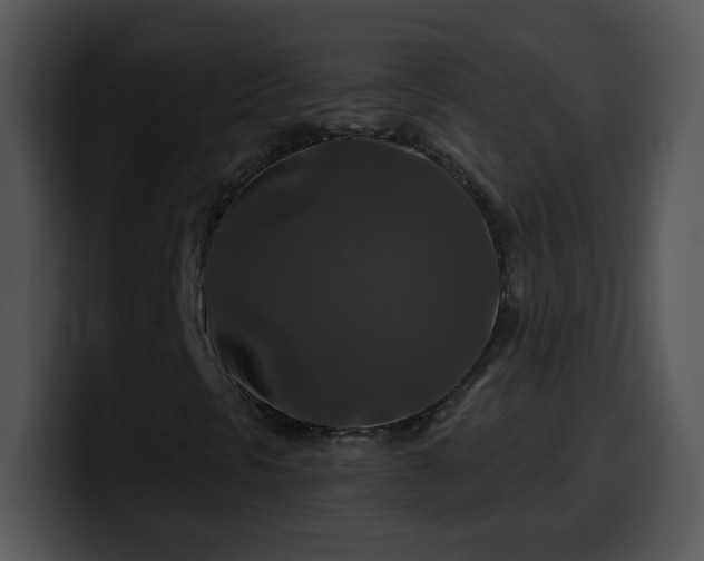 X0000100401297200806061307