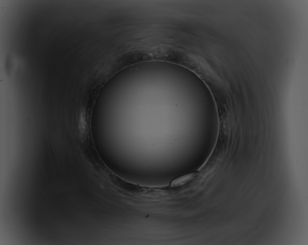 X0000100401298200806061307
