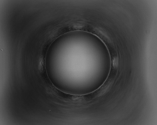 X0000100401299200806061307