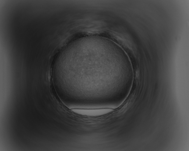 X0000100401300200806061307