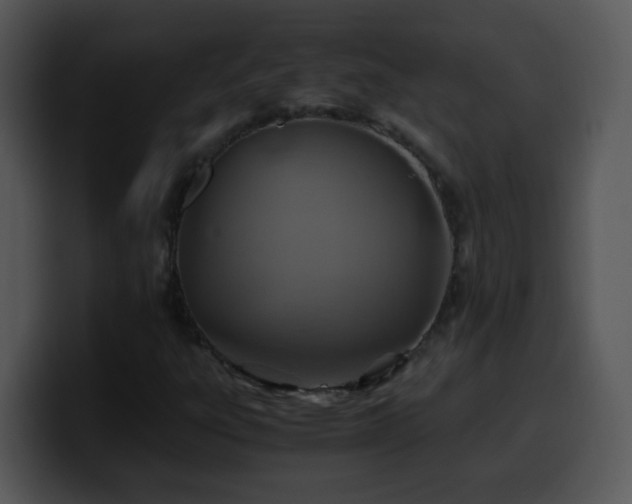 X0000100401303200806061307