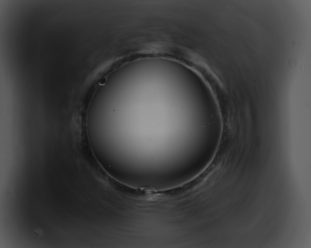 X0000100401304200806061307