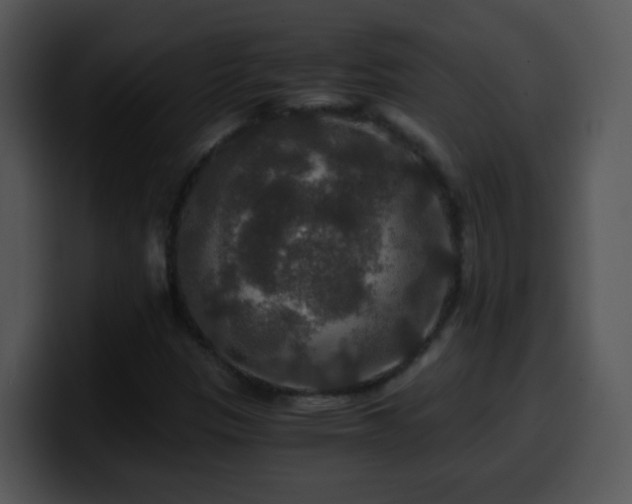 X0000100401305200806061307