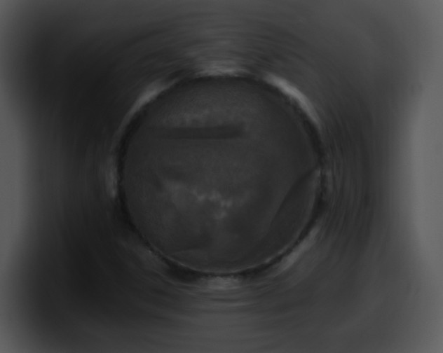 X0000100401306200806061307
