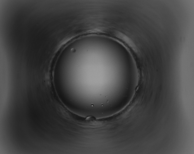 X0000100401308200806061307