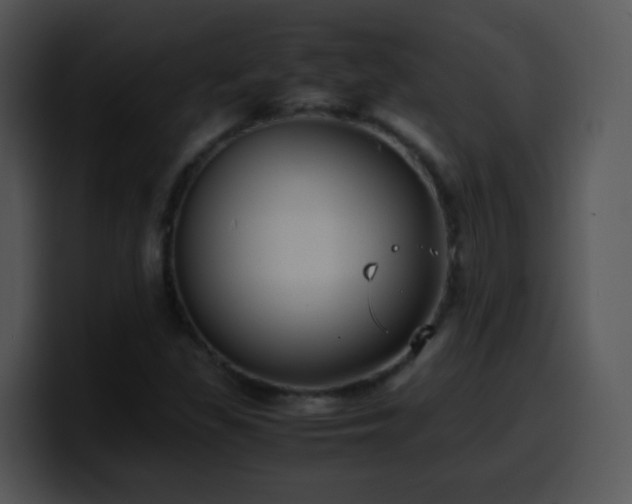 X0000100401309200806061307