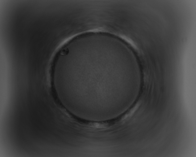 X0000100401311200806061307