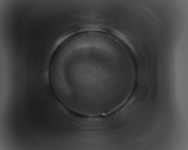 X0000100401312200806061307