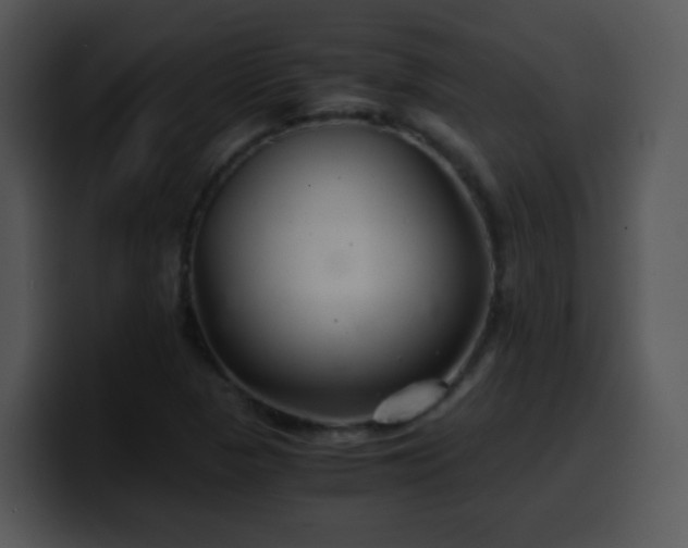 X0000100401313200806061307