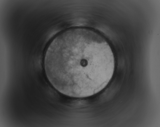 X0000100401314200806061307