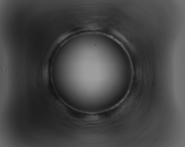 X0000100401315200806061307