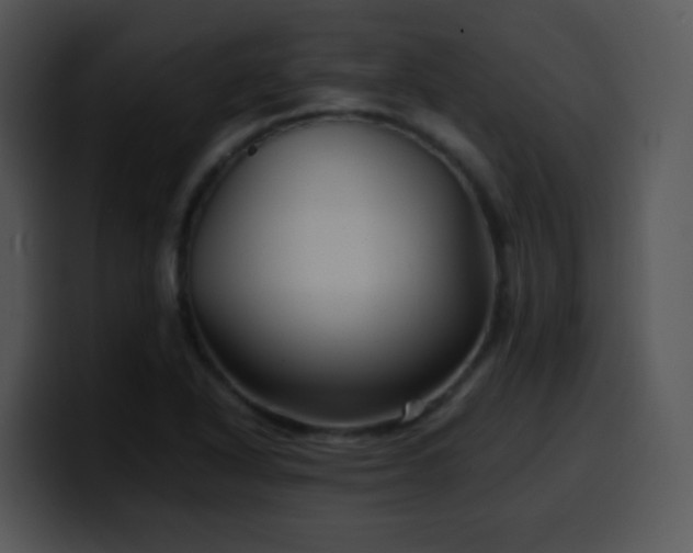 X0000100401318200806061307