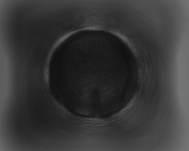 X0000100401319200806061307
