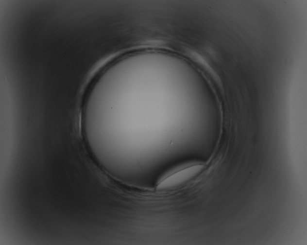 X0000100401320200806061307