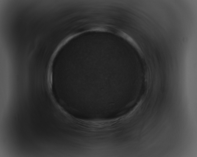 X0000100401323200806061307