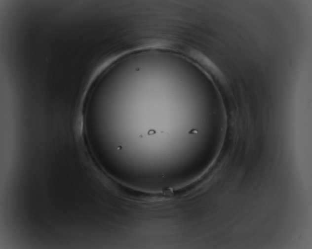 X0000100401324200806061307