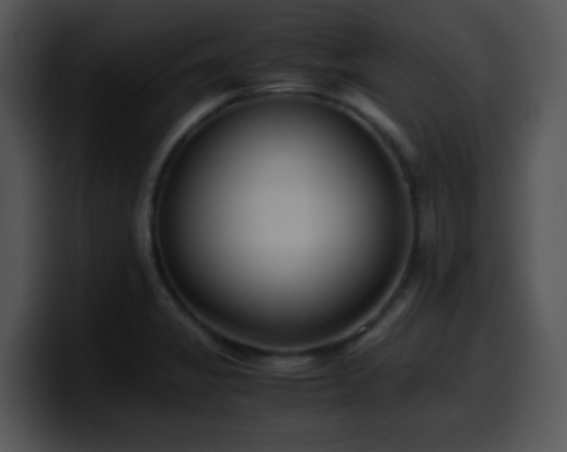 X0000100401325200806061307