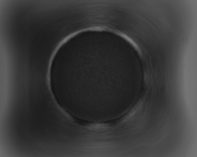 X0000100401327200806061307