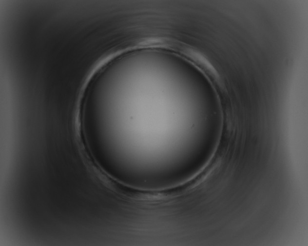X0000100401328200806061308