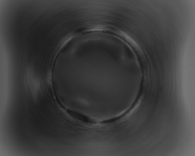 X0000100401329200806061308