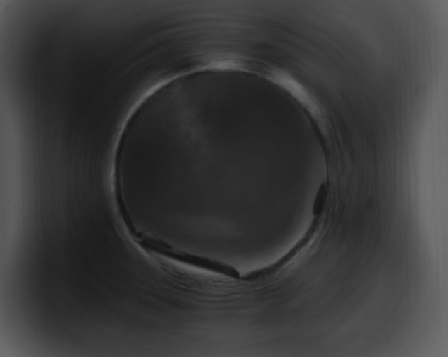 X0000100401331200806061308