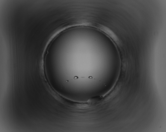 X0000100401332200806061308