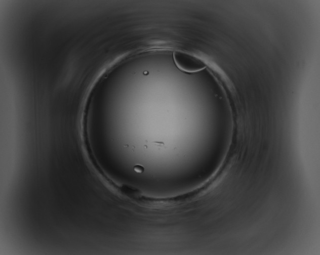 X0000100401333200806061308