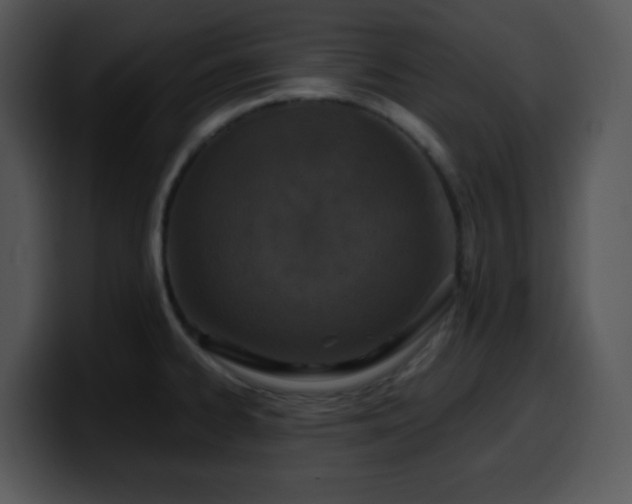 X0000100401334200806061308