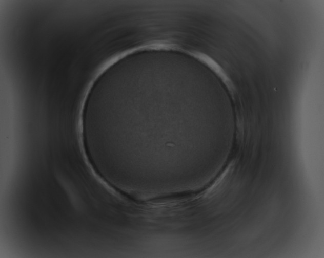X0000100401335200806061308