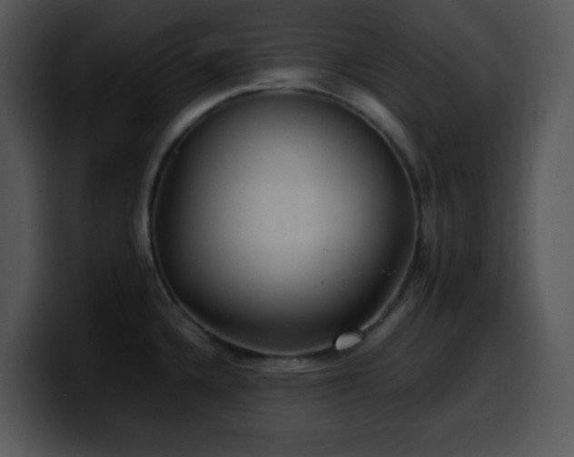 X0000100401336200806061308