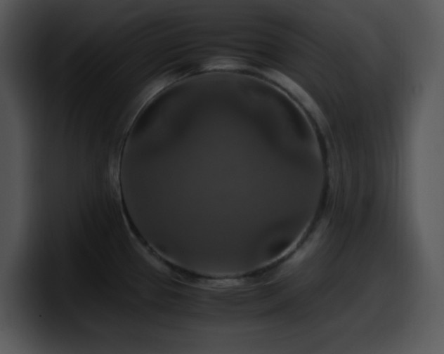 X0000100401337200806061308