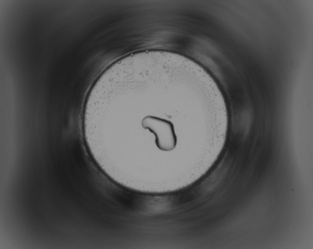 X0000100401338200806061308