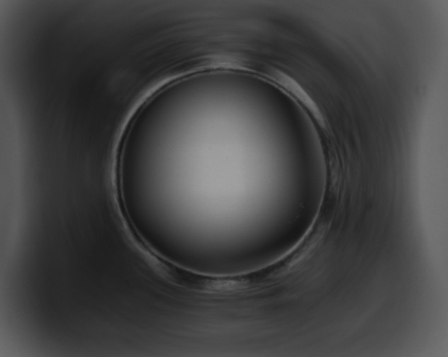 X0000100401339200806061308