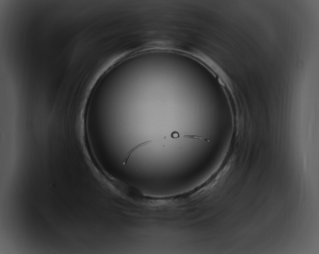 X0000100401341200806061308