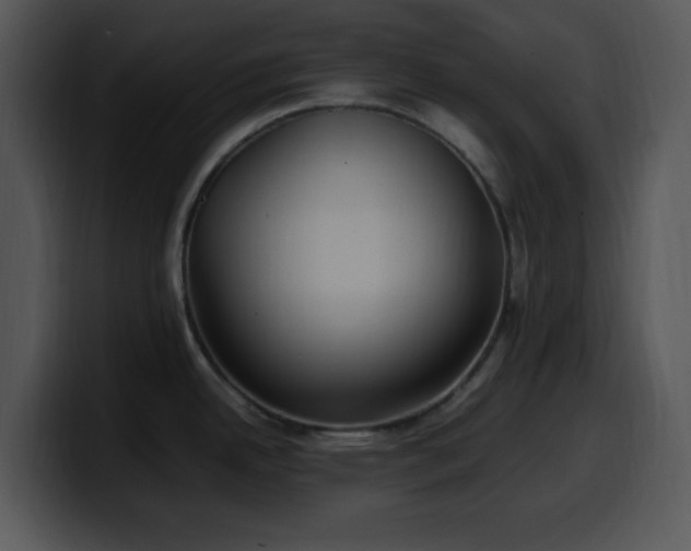 X0000100401342200806061308