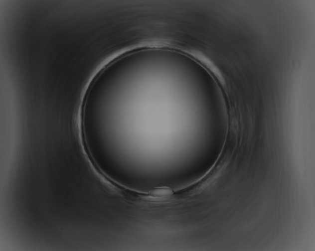 X0000100401343200806061308