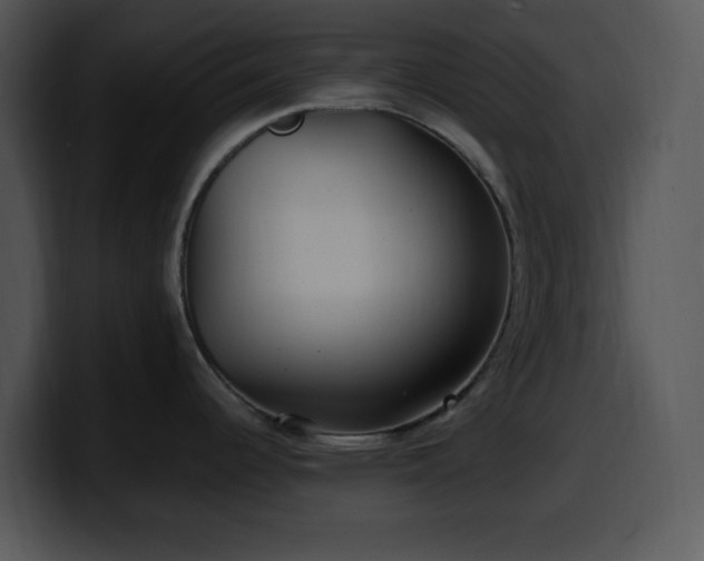 X0000100401344200806061308